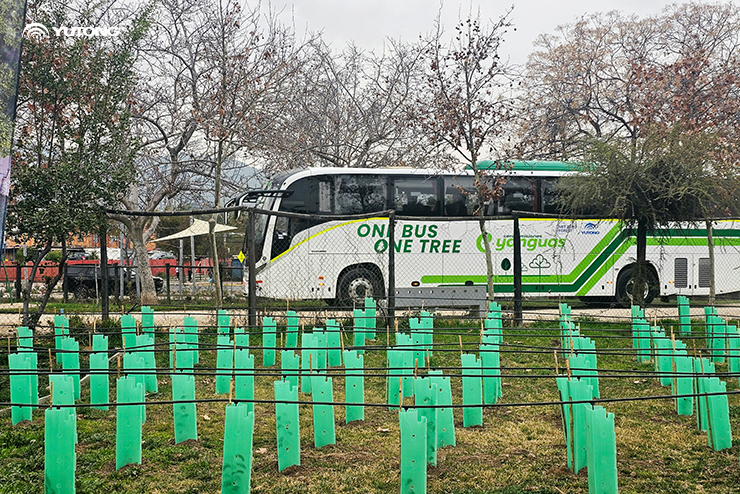 Yutong planta 1.000 árboles, como parte de su iniciativa Bosque Net Zero de Chile para impulsar la sostenibilidad ecológica Yutong planta 1.000 árboles, como parte de su iniciativa Bosque Net Zero de Chile para impulsar la sostenibilidad ecológica