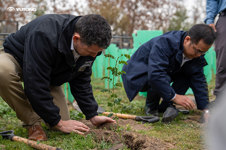 Yutong planta 1.000 árboles, como parte de su iniciativa Bosque Net Zero de Chile para impulsar la sostenibilidad ecológica Yutong planta 1.000 árboles, como parte de su iniciativa Bosque Net Zero de Chile para impulsar la sostenibilidad ecológica