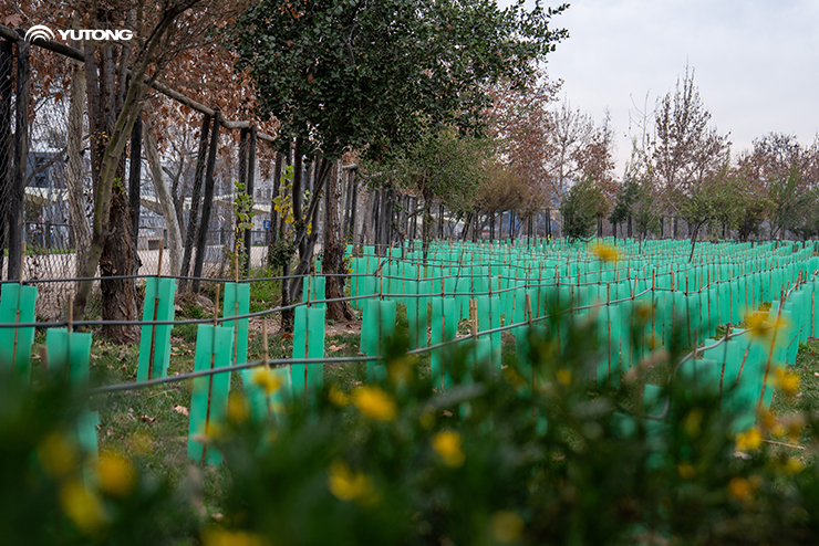 Yutong planta 1.000 árboles, como parte de su iniciativa Bosque Net Zero de Chile para impulsar la sostenibilidad ecológica Yutong planta 1.000 árboles, como parte de su iniciativa Bosque Net Zero de Chile para impulsar la sostenibilidad ecológica