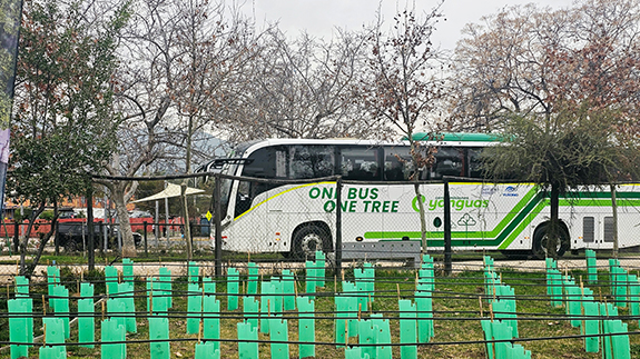 Yutong planta 1.000 árboles, como parte de su iniciativa Bosque Net Zero de Chile para impulsar la sostenibilidad ecológica