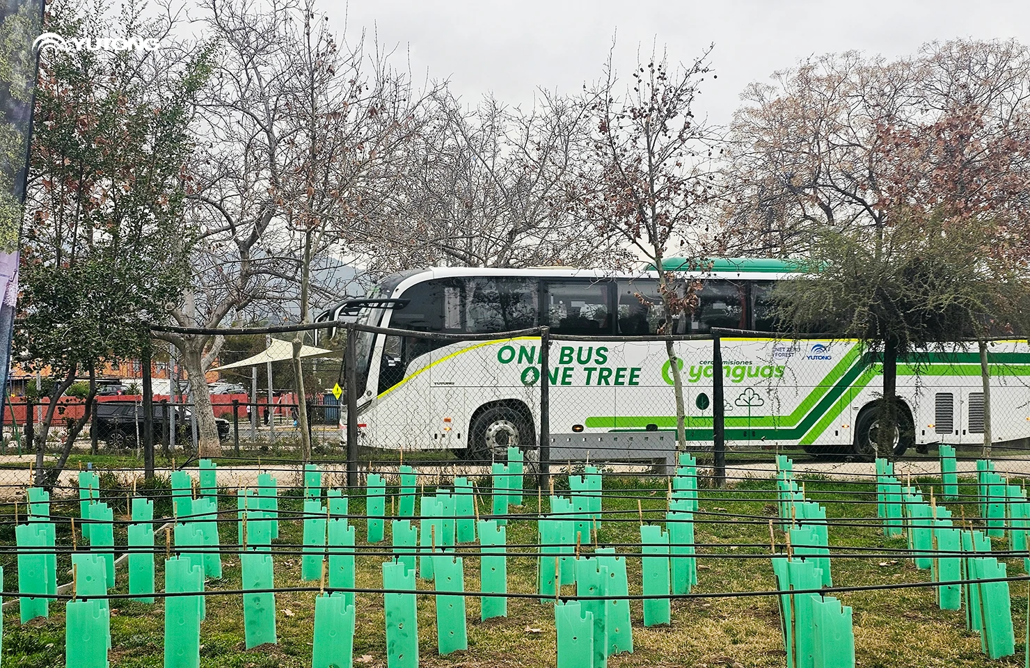  Yutong pone en marcha el programa «Net Zero Forest» para 2026: llevando 44.218 árboles a Gansu en la primera fase