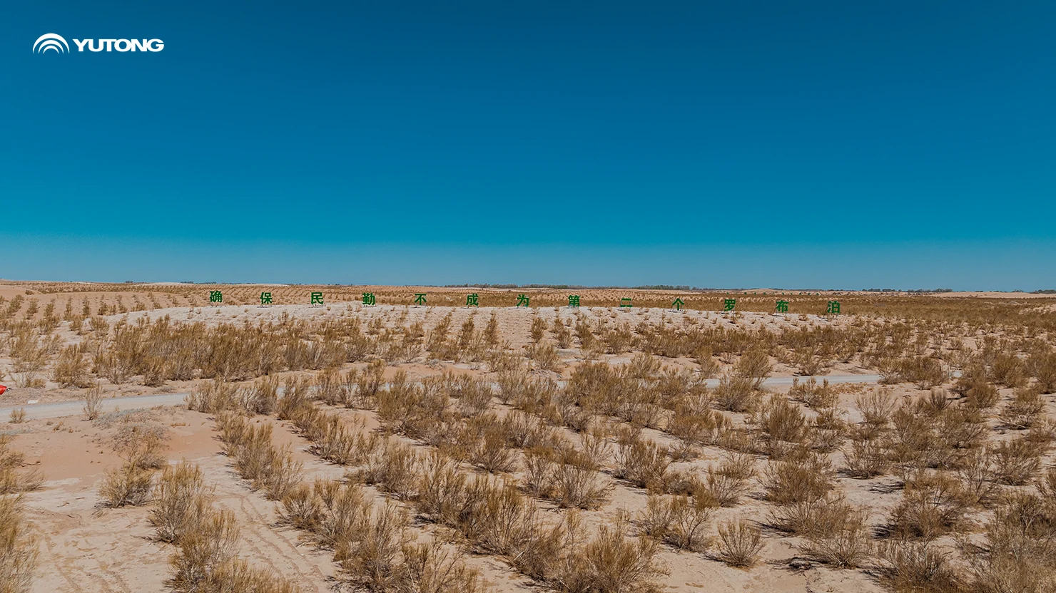  Yutong pone en marcha el programa «Net Zero Forest» para 2026: llevando 44.218 árboles a Gansu en la primera fase