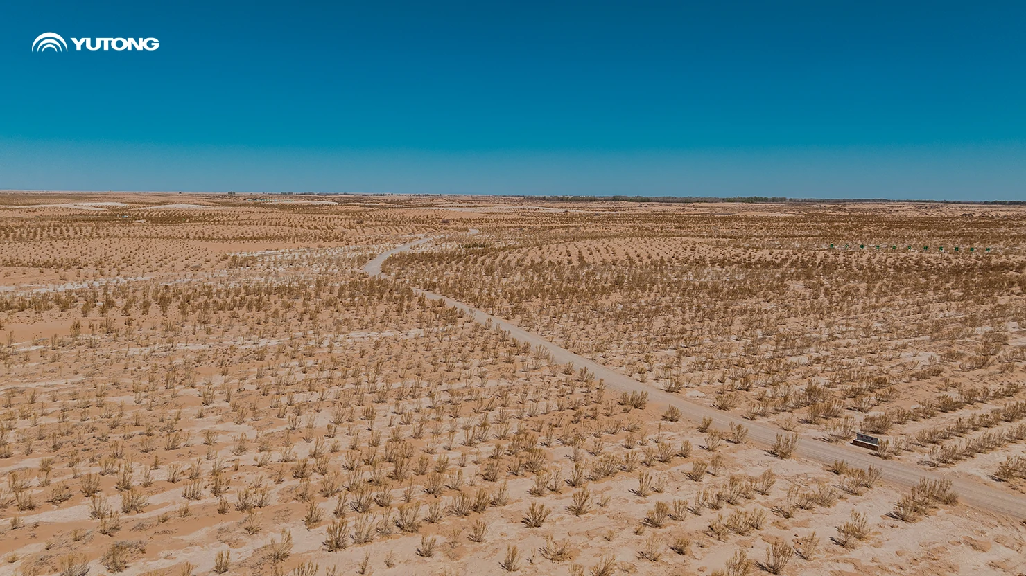  Yutong pone en marcha el programa «Net Zero Forest» para 2026: llevando 44.218 árboles a Gansu en la primera fase