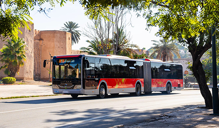Yutong Bus América Latina
