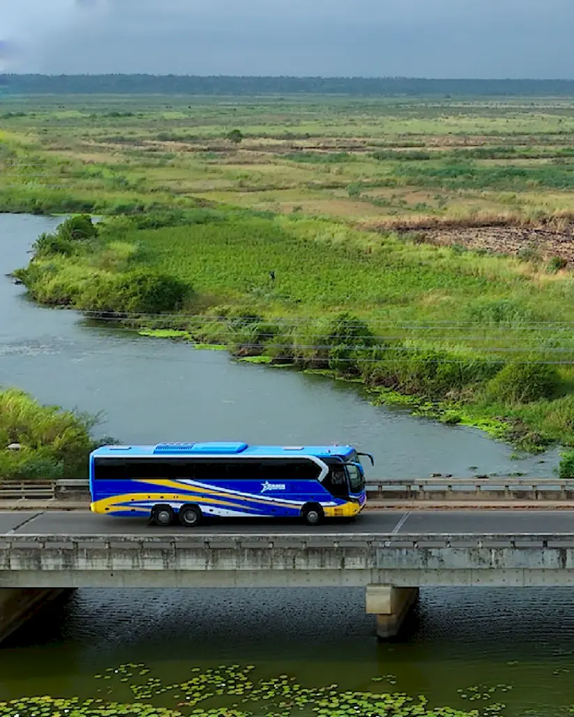 Yutong Bus América Latina