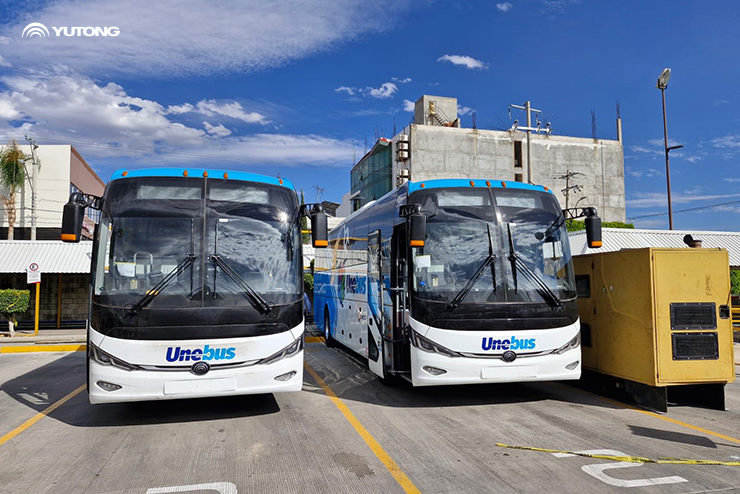 La sucursal mexicana de Yutong participa en la Presentación de Autobuses Ecológicos