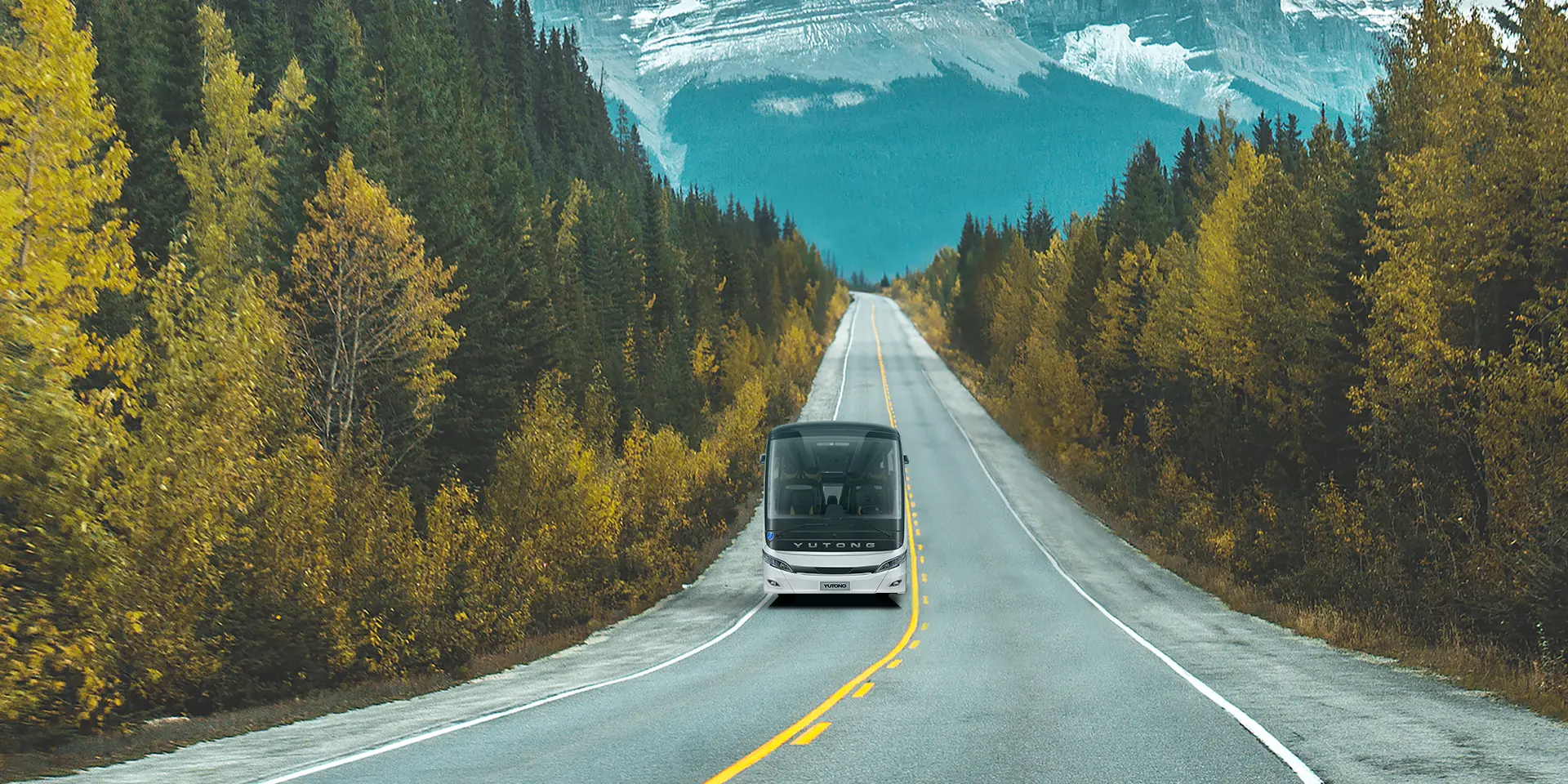 T12